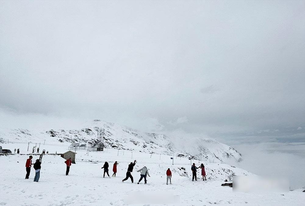 青海祁連大冬樹山今日落雪,遊客興奮打雪仗。(互聯網)