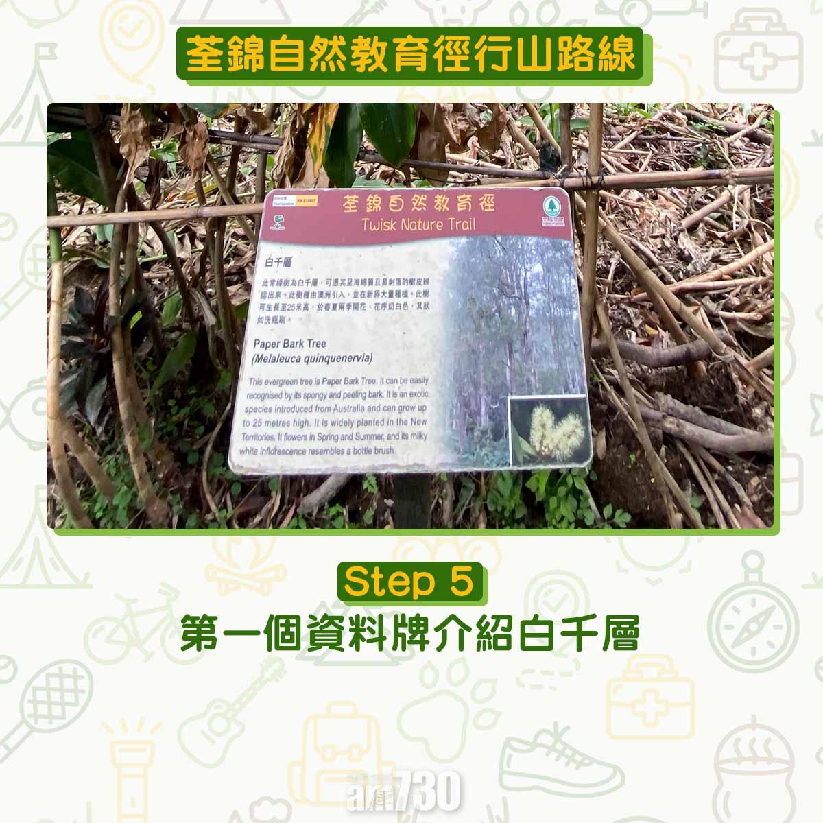 新手行山路線|荃錦自然教育徑 2公里短遊浸森林浴