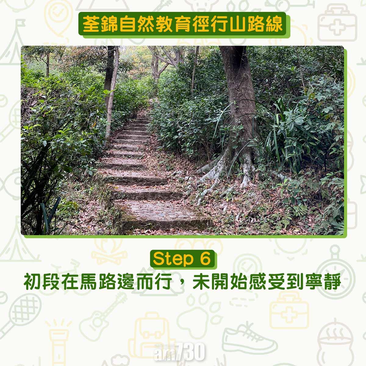 新手行山路線|荃錦自然教育徑 2公里短遊浸森林浴