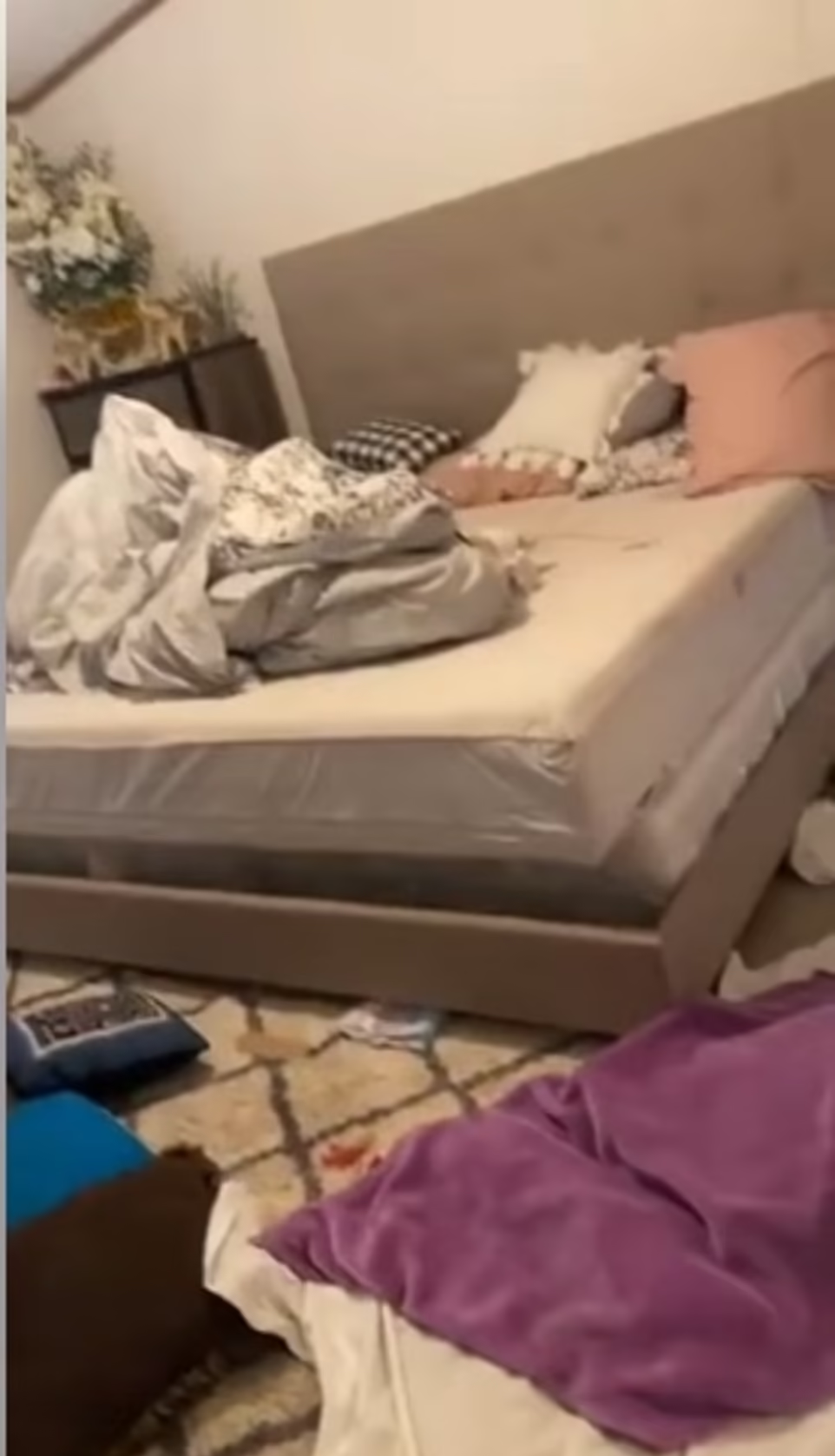 Kos寓所內一片凌亂。(互聯網)