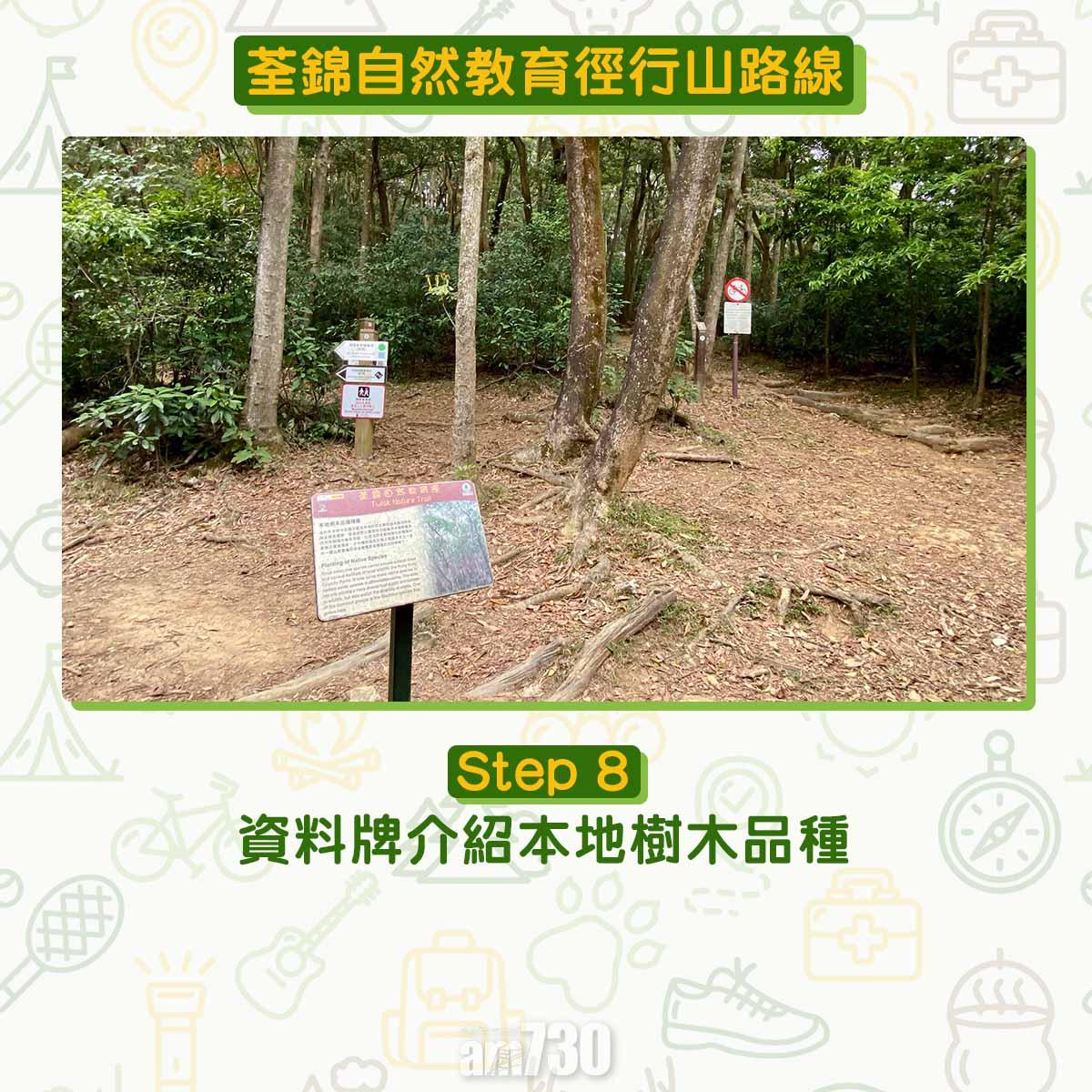 新手行山路線|荃錦自然教育徑 2公里短遊浸森林浴