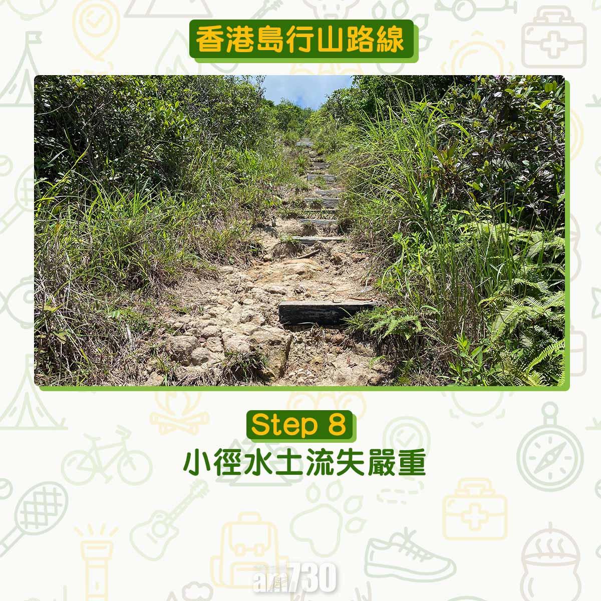 香港島行山路線