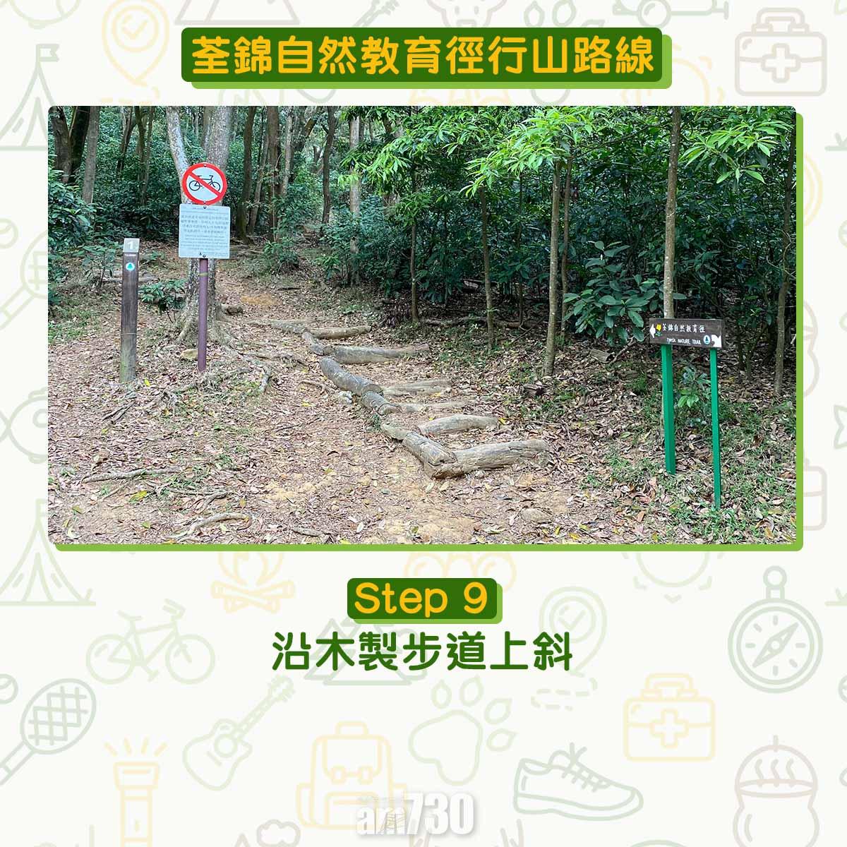新手行山路線|荃錦自然教育徑 2公里短遊浸森林浴
