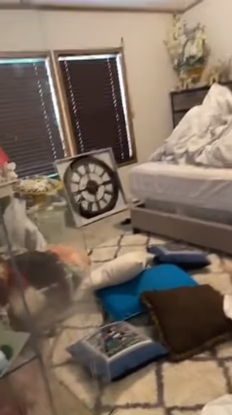 Kos寓所內一片凌亂。(互聯網)