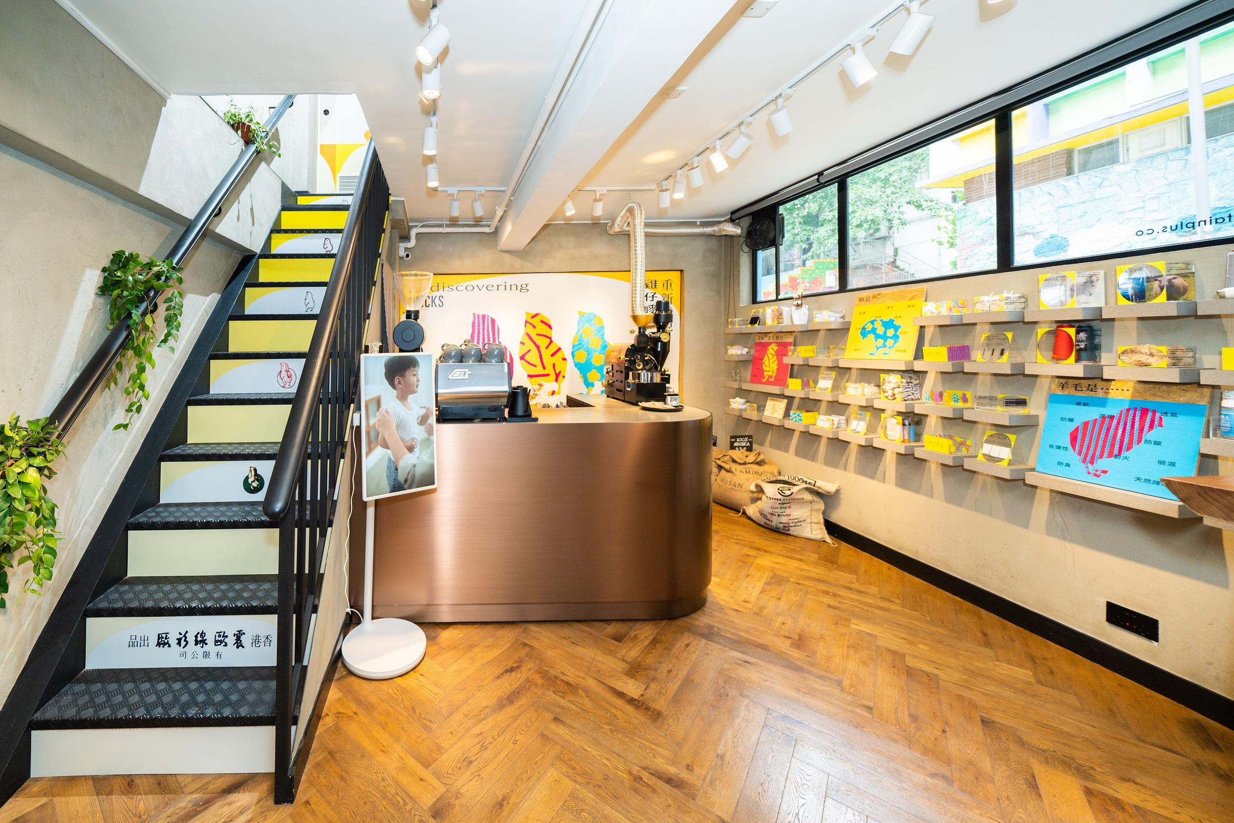 展覽館下層物料展示牆