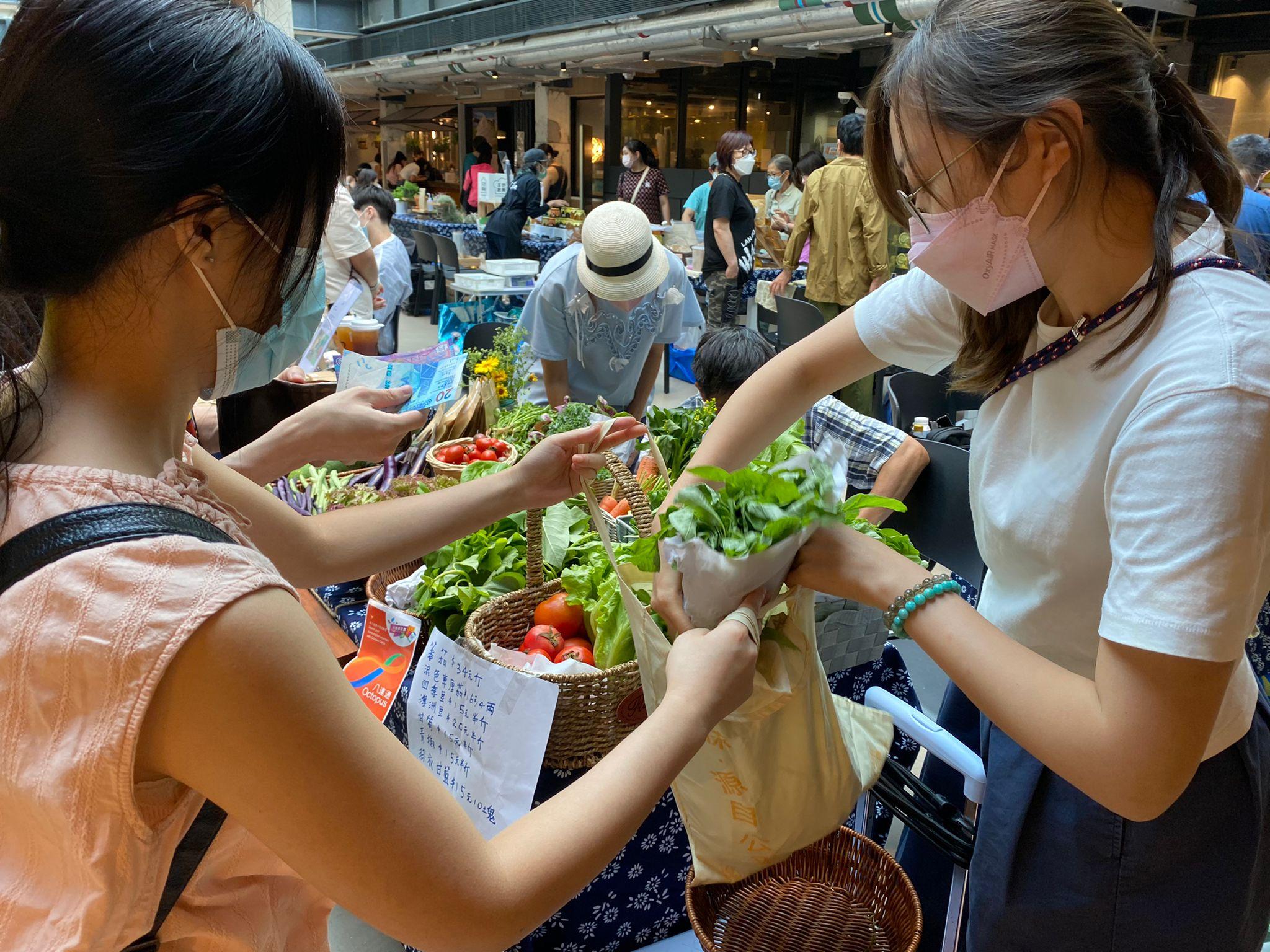 。紗廠聯同香港有機生活發展基金(SEED)於每月的第四個週末,與本地農夫及環保手作團體參與「紗廠農墟」。