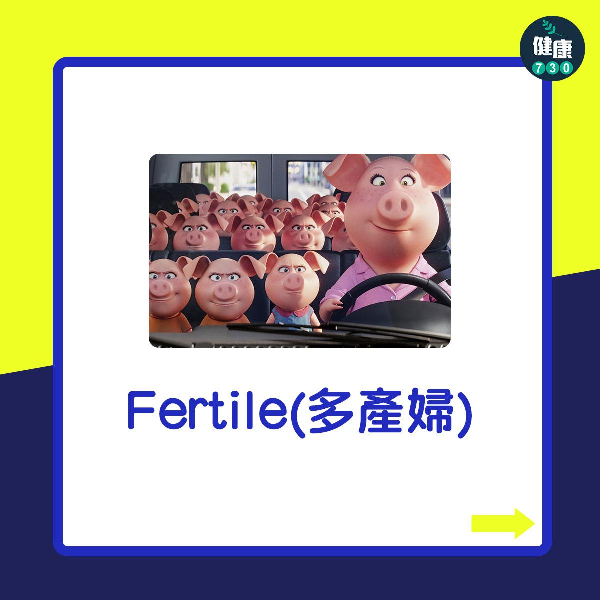 Fertile(多產婦)