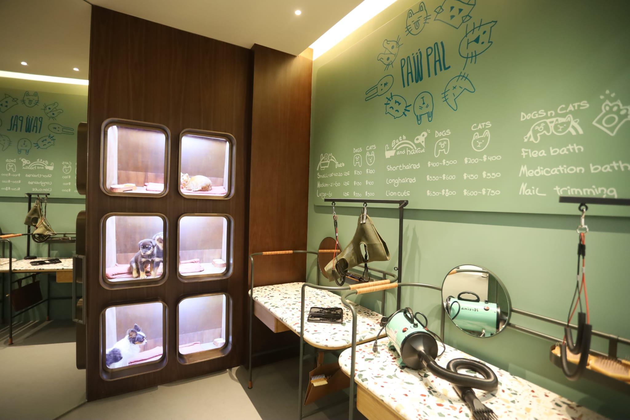 屯門新盤|NOVO LAND自設5萬方呎商場 已預租七成