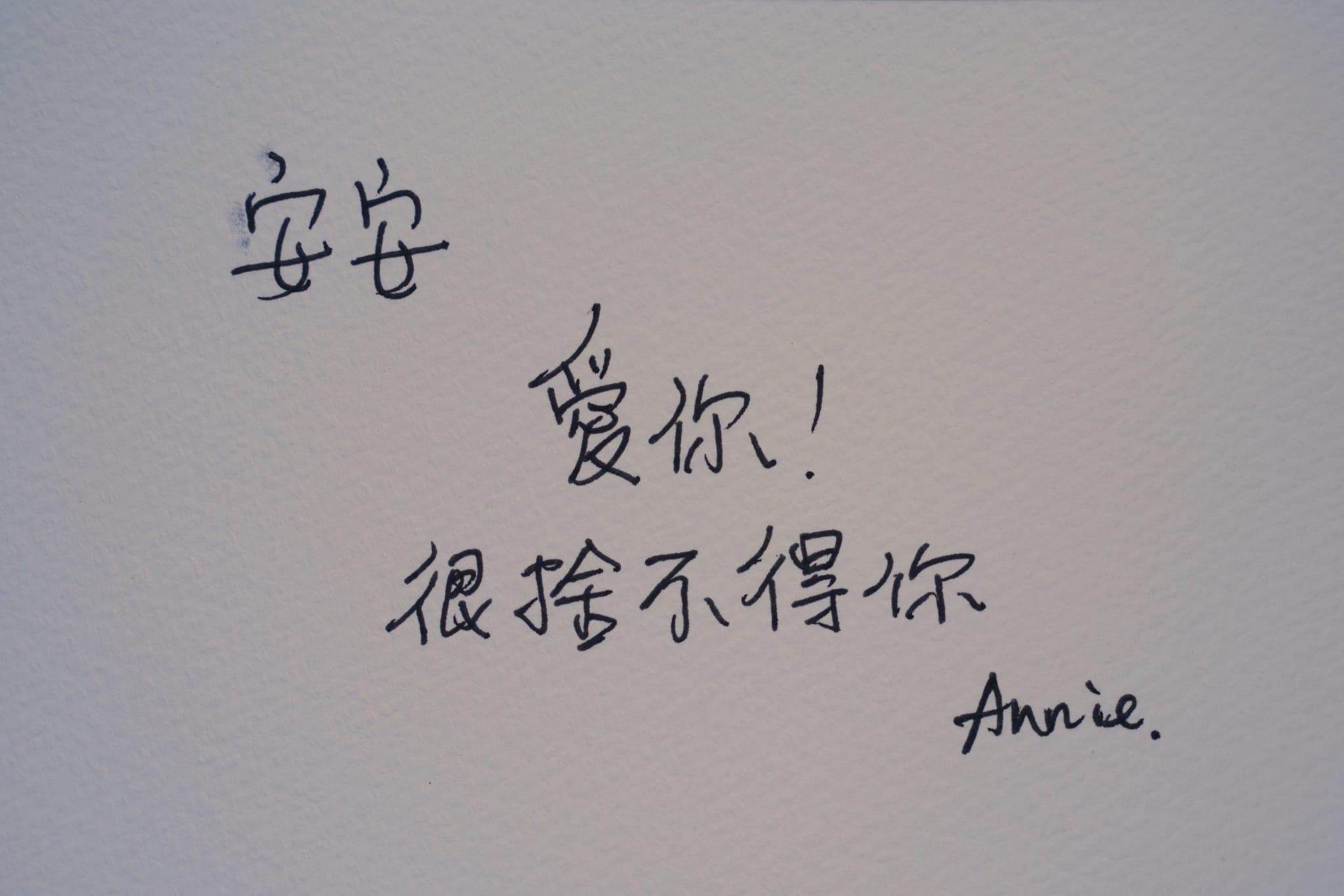 海洋公園設弔唁冊,供市民悼念大熊貓安安。(陳奕釗攝)