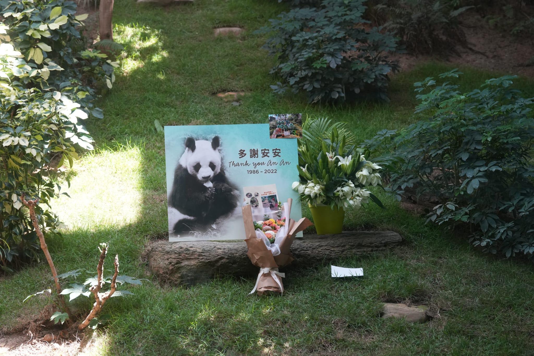 安安離世|市民灑淚告別 網民湧海洋公園fb洗版:感謝帶給我哋咁多年歡樂