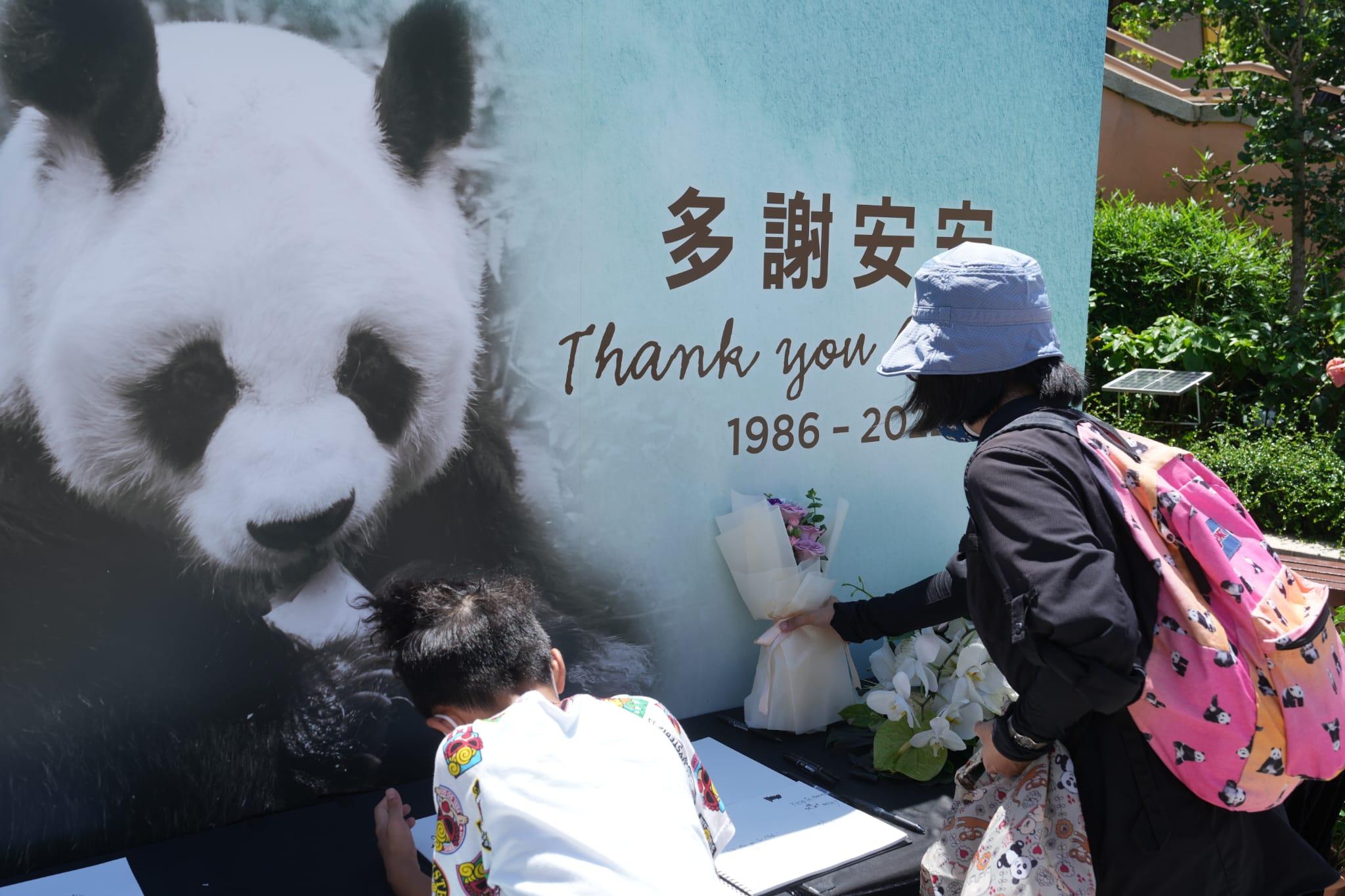 安安離世|市民灑淚告別 網民湧海洋公園fb洗版:感謝帶給我哋咁多年歡樂