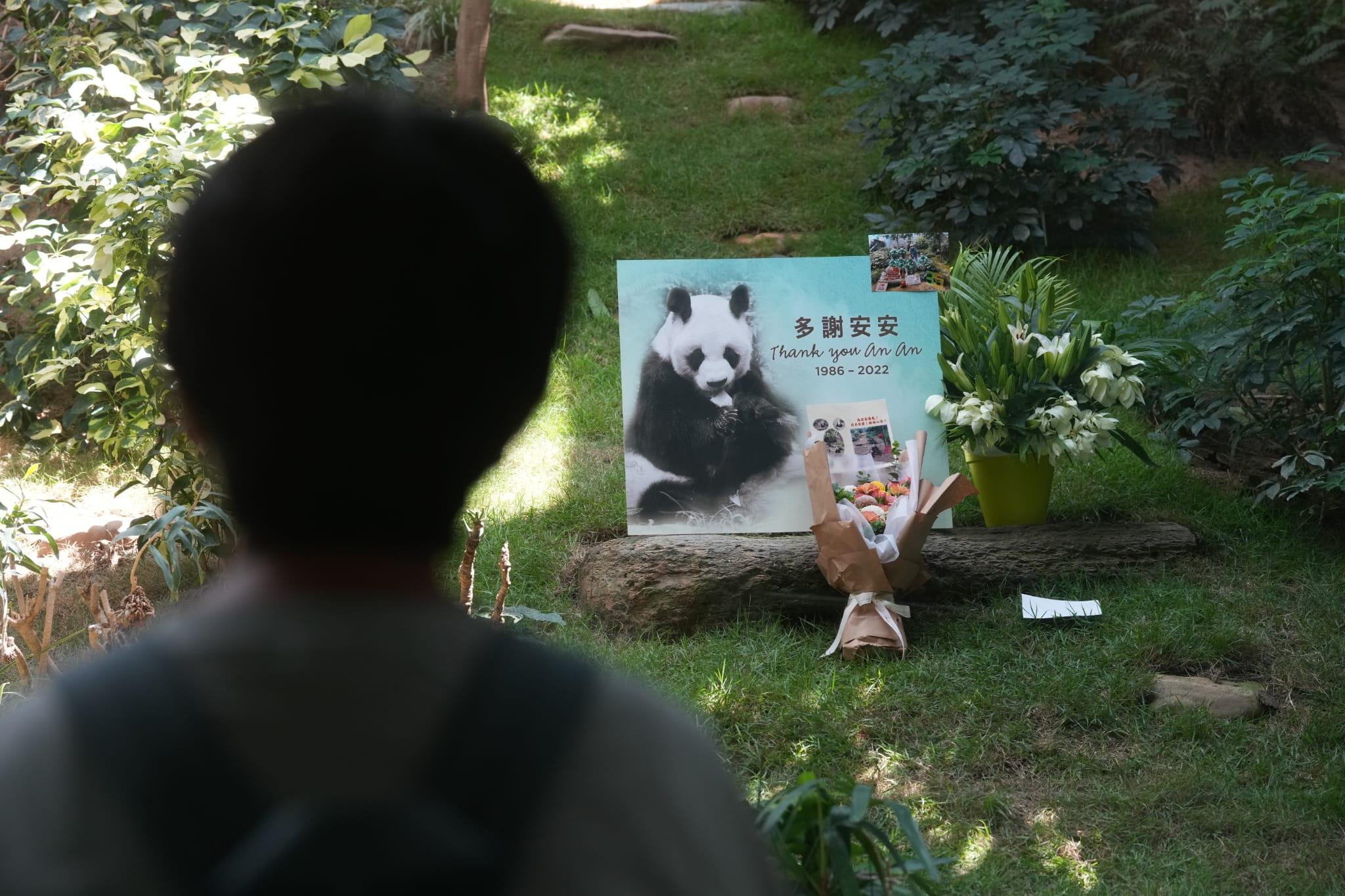 安安離世|市民灑淚告別 網民湧海洋公園fb洗版:感謝帶給我哋咁多年歡樂
