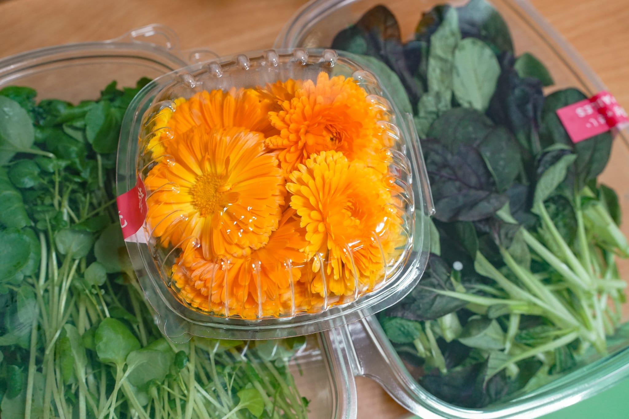 中心利用新技術成功栽種出西洋菜、紫白菜苗和金盞花。(李睿哲攝)