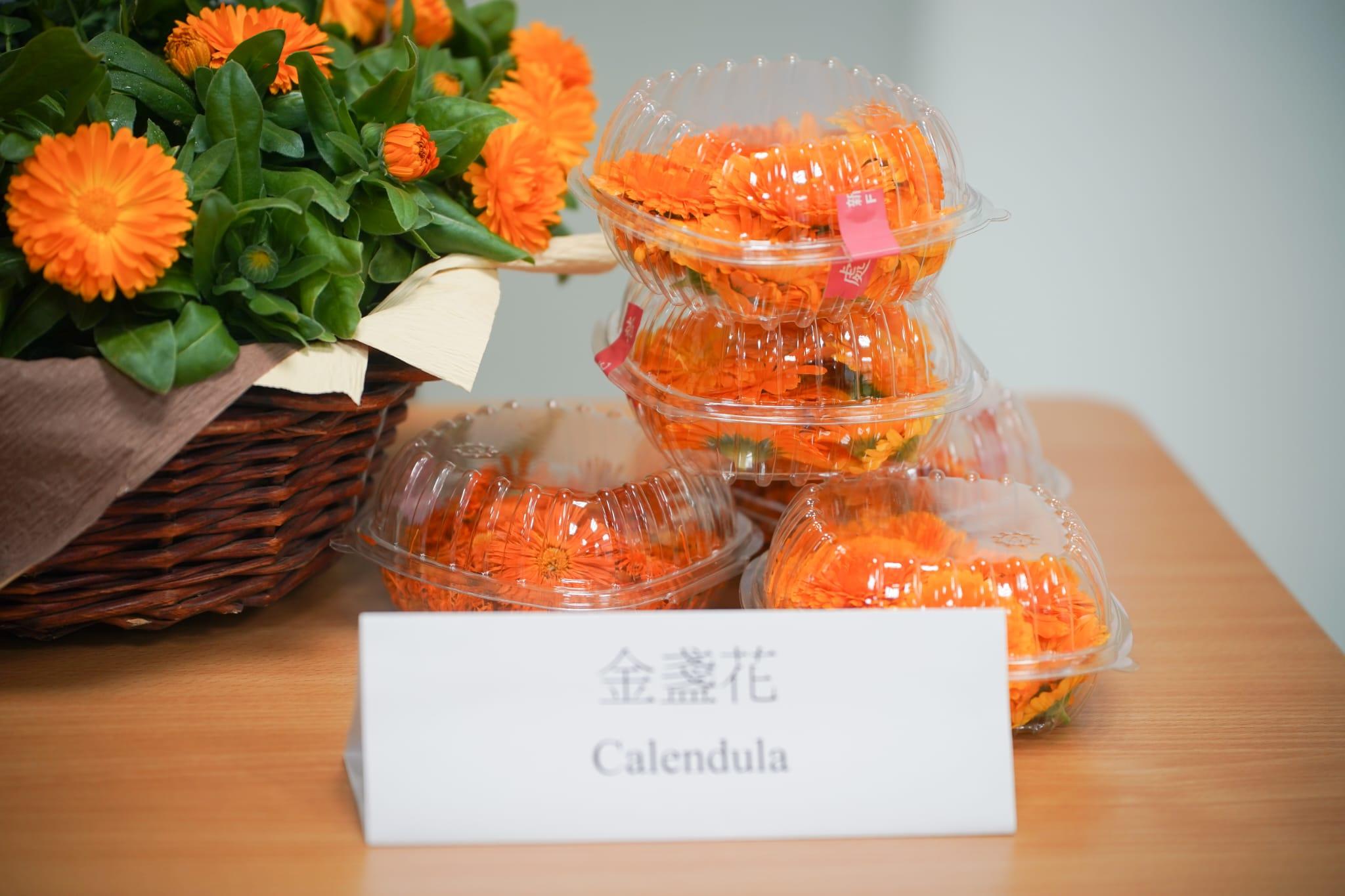 中心利用新技術成功栽種出西洋菜、紫白菜苗和金盞花。(李睿哲攝)