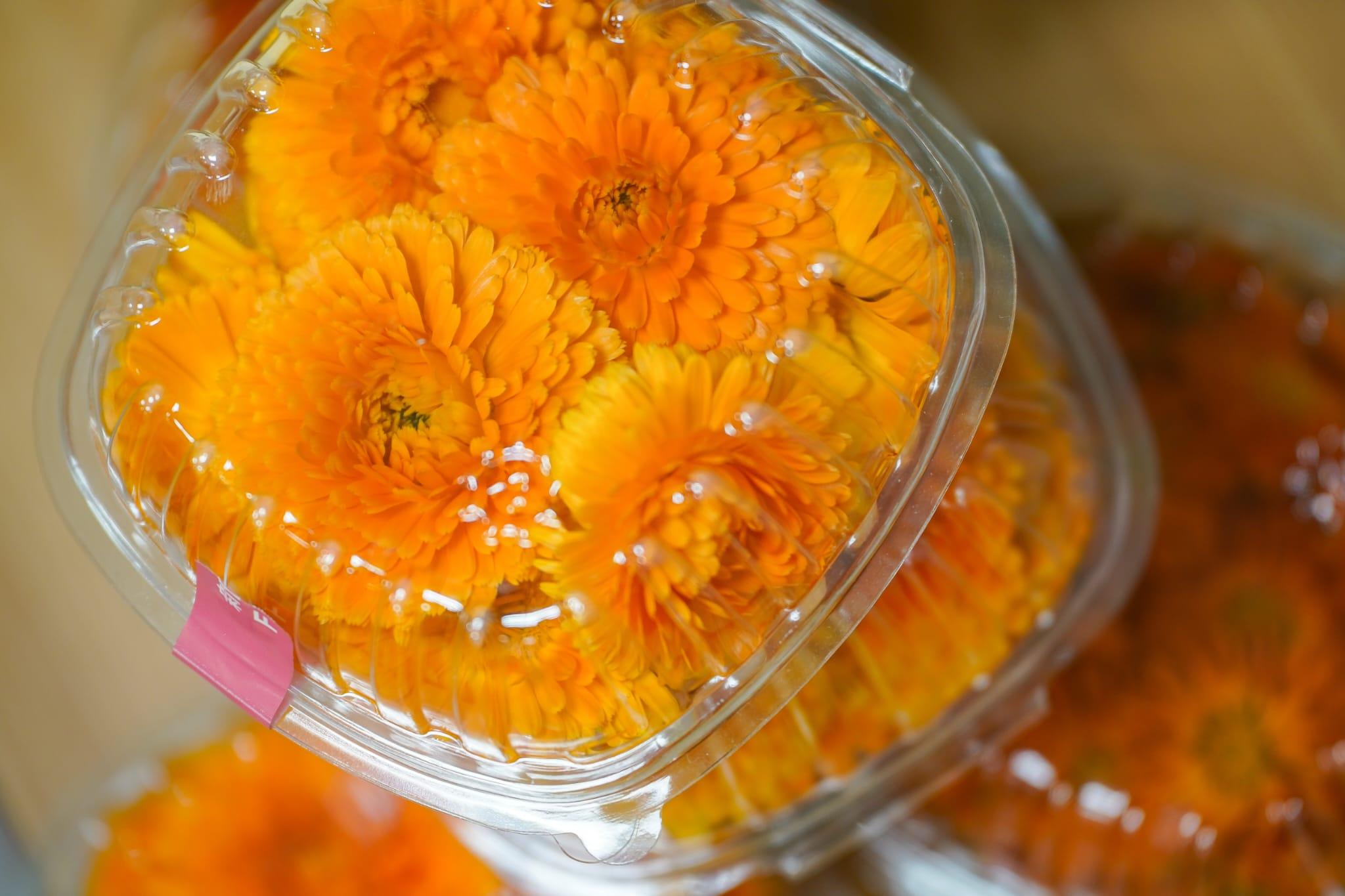 中心利用新技術成功栽種出西洋菜、紫白菜苗和金盞花。(李睿哲攝)