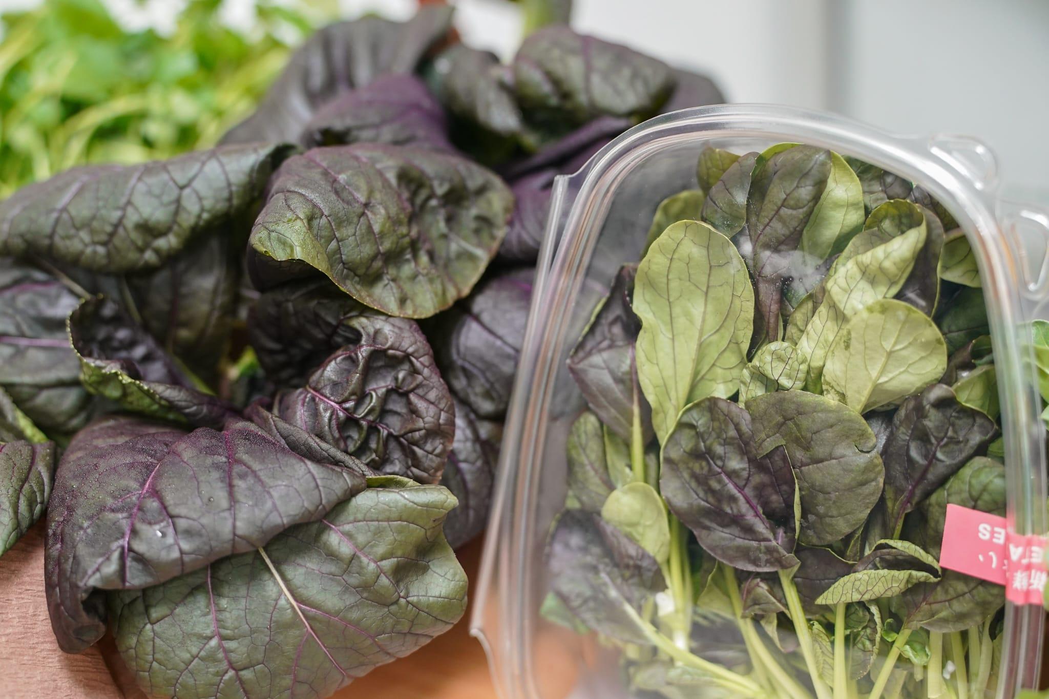 中心利用新技術成功栽種出西洋菜、紫白菜苗和金盞花。(李睿哲攝)