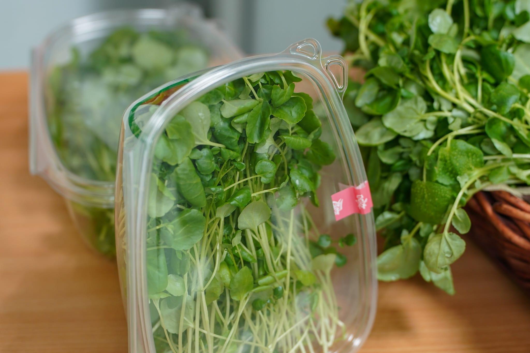 中心利用新技術成功栽種出西洋菜、紫白菜苗和金盞花。(李睿哲攝)