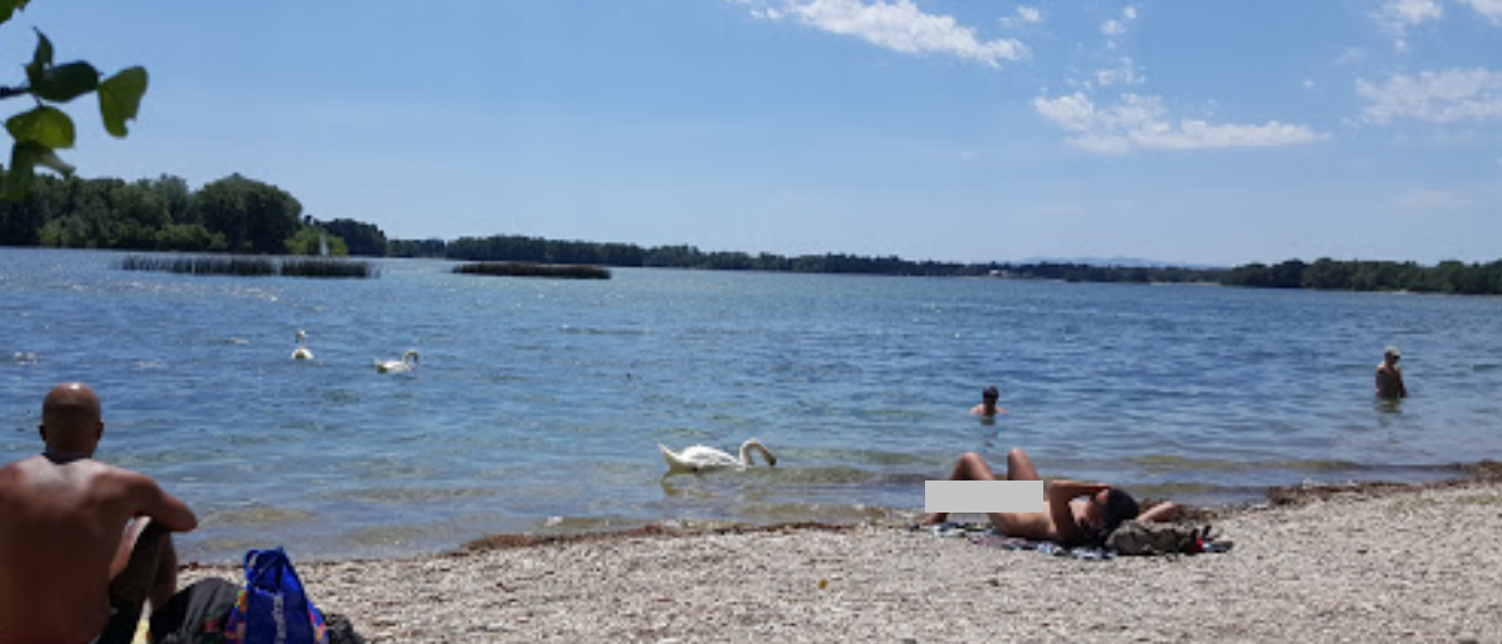 案發的法國天體沙灘位於里昂市郊。(互聯網)