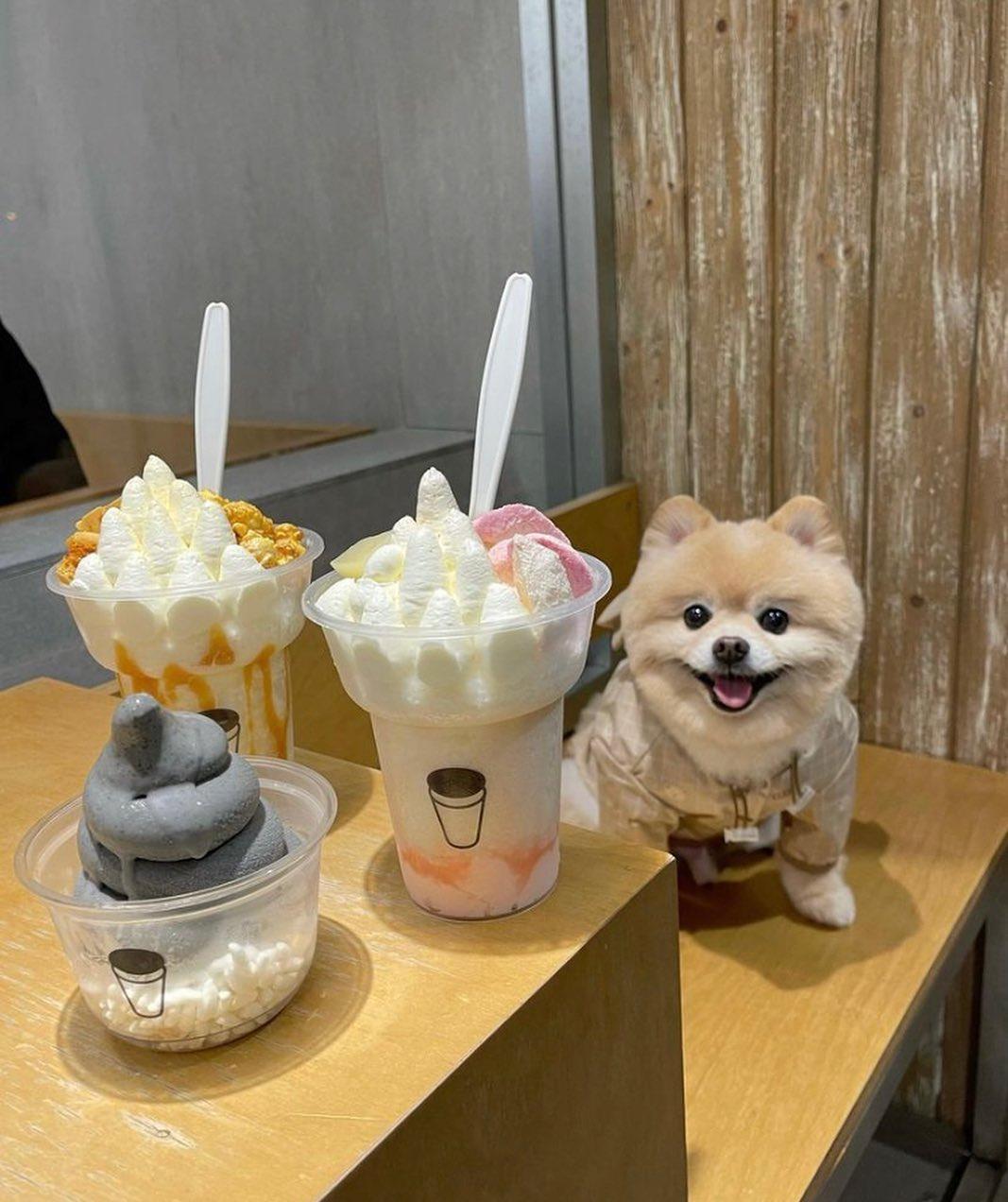 牛奶粉雪冰加上不同配料,一次過可吃到不同層次!(Instagram @cafehoppingwithmydog)