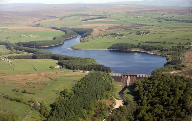水塘原貌。(互聯網)