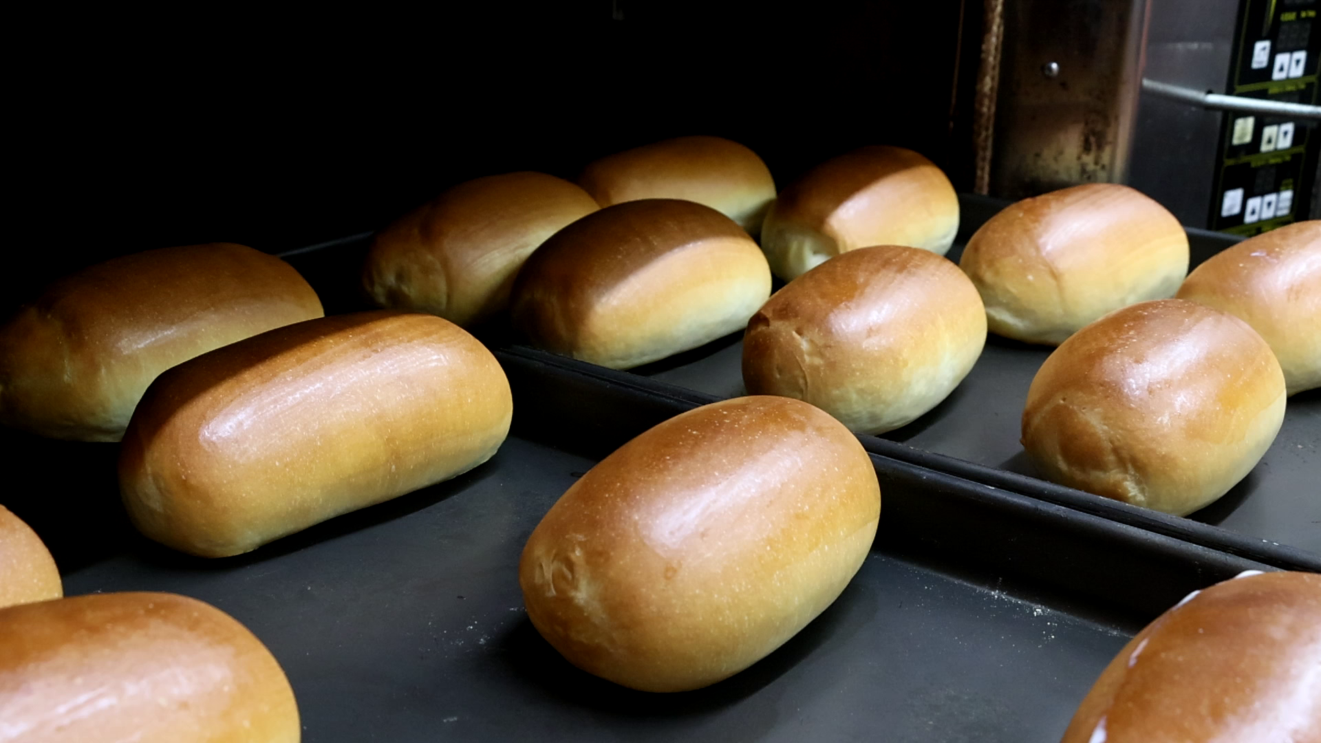 自家製的麵包每日早上新鮮出爐