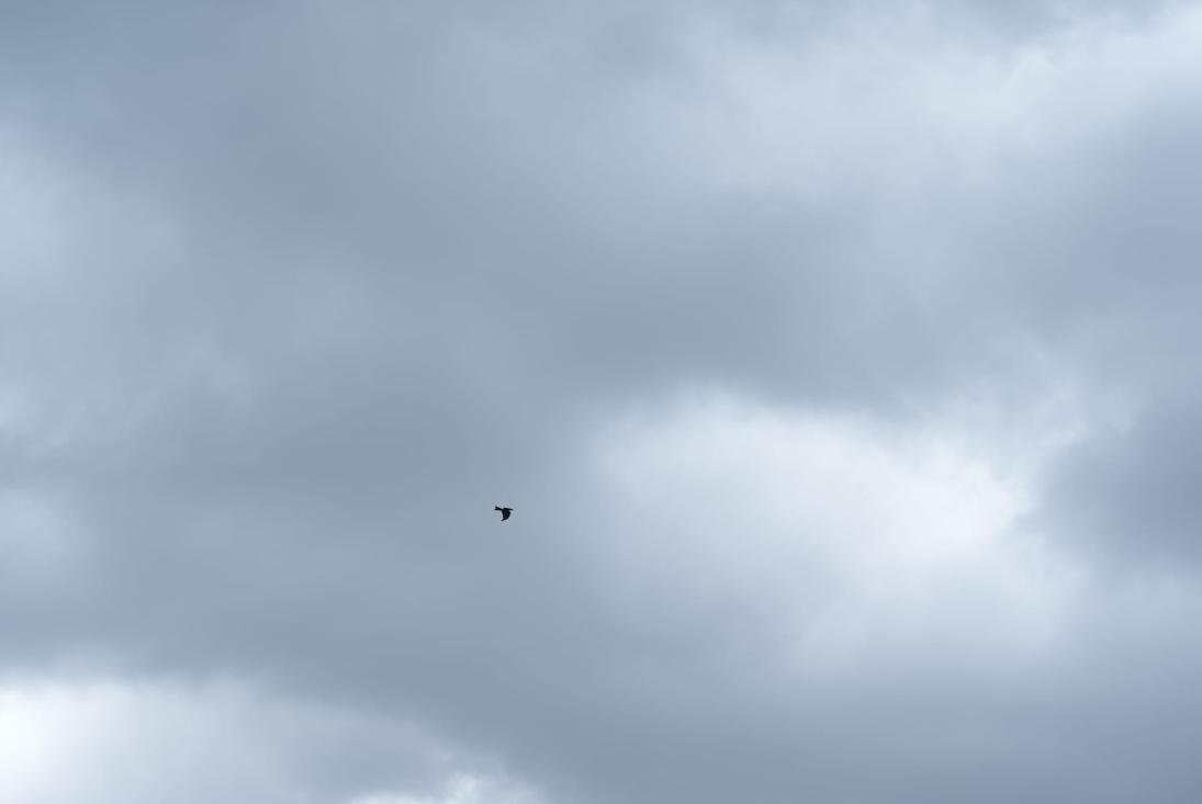 天文台改發一號戒備信號