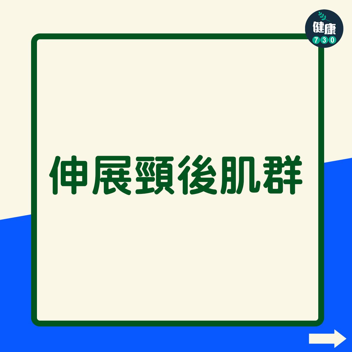 寒背、圓肩改善|伸展頸後肌群(am730製圖)