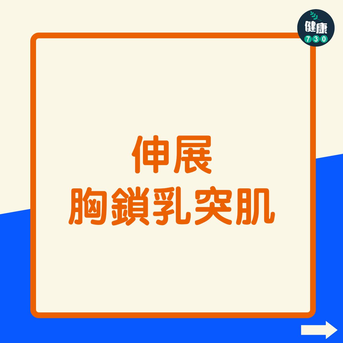 寒背、圓肩改善|伸展胸鎖乳突肌(am730製圖)