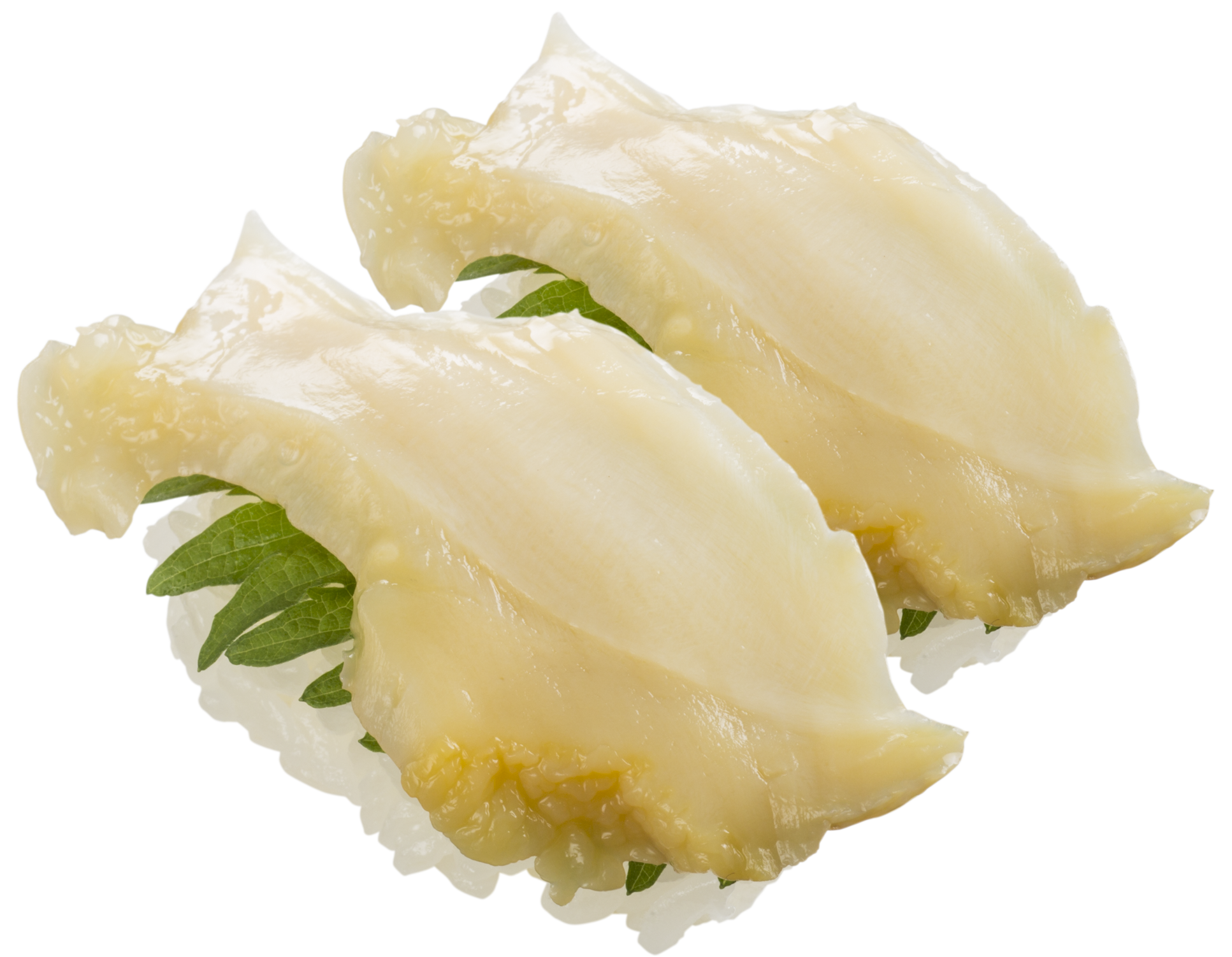 北海道產海螺($22)