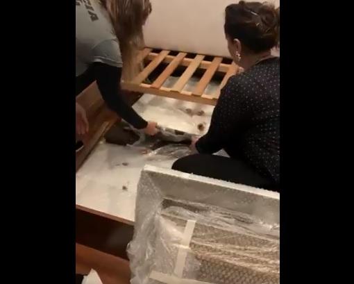 警員在床下儲物櫃發現內藏畫作。(互聯網)