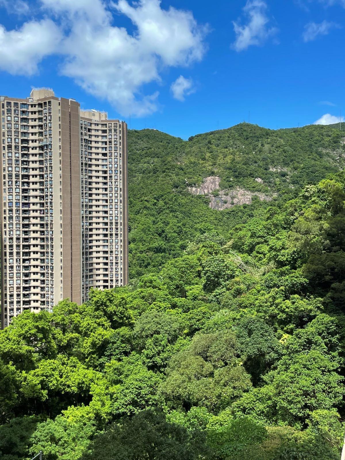 單位望翠綠清幽的山巒景致。