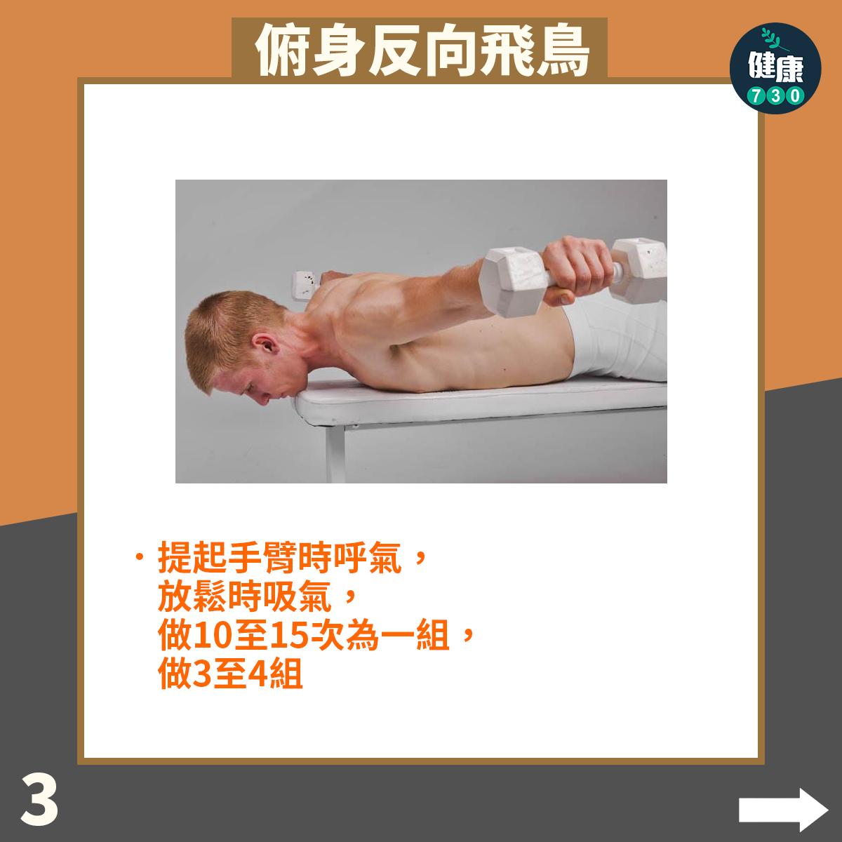 背肌訓練|俯身反向飛鳥(am730製圖)