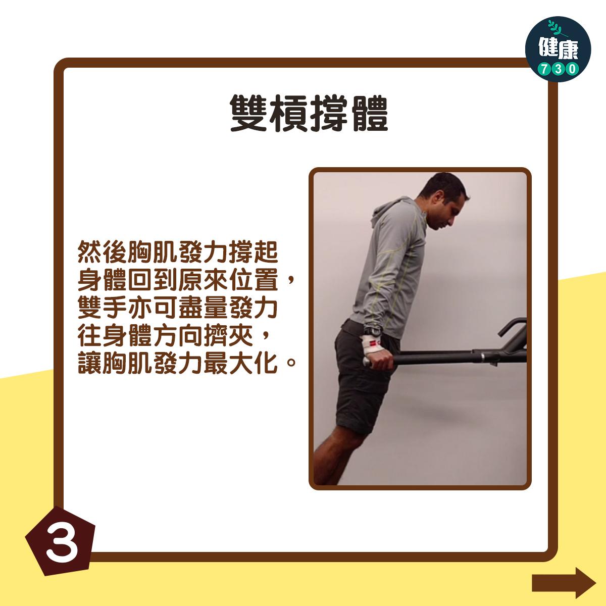 胸肌訓練|雙槓撐體(am730製圖)