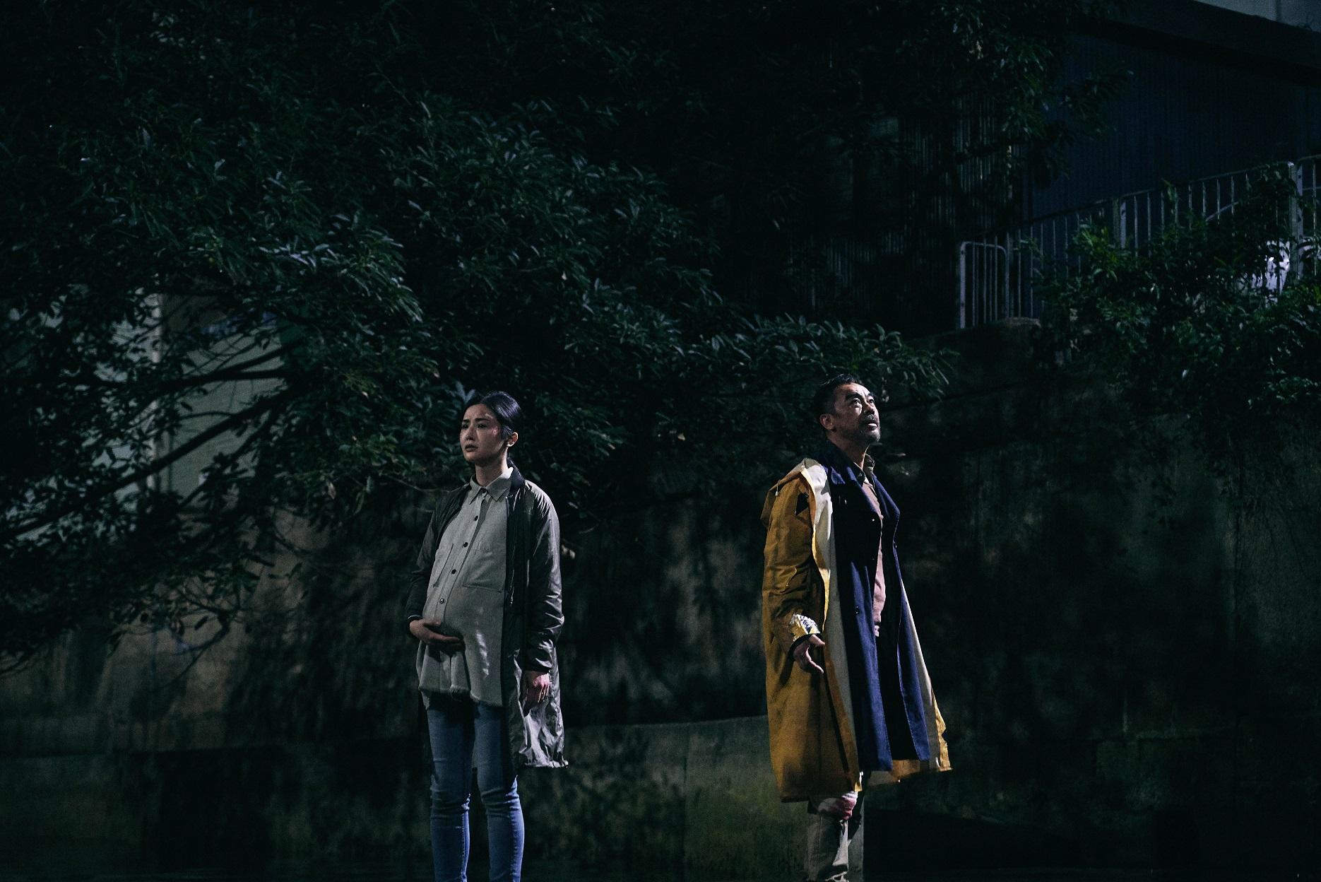 阿Sa演大肚女幹探,與青雲一起追查「神探」集團的背後動機。