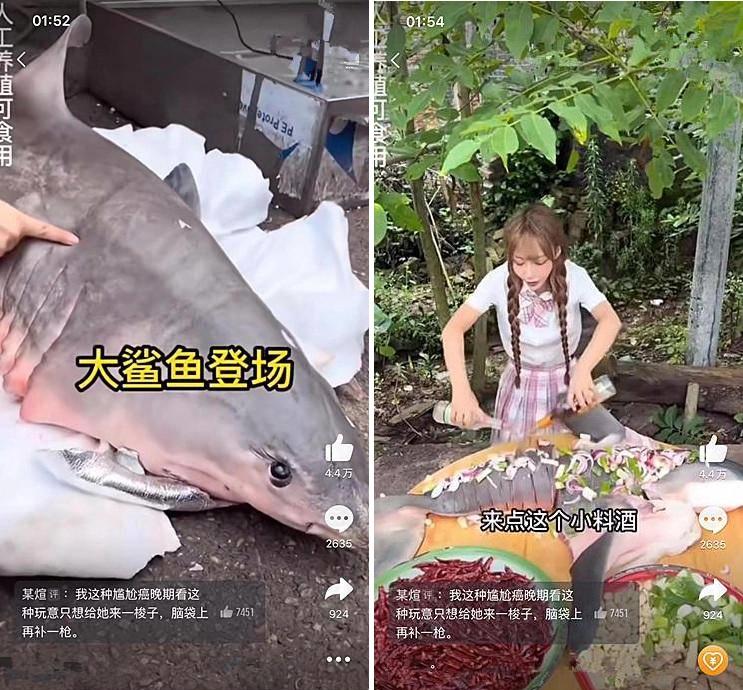 網紅「提子」烹調並大吃大白鯊。(互聯網)
