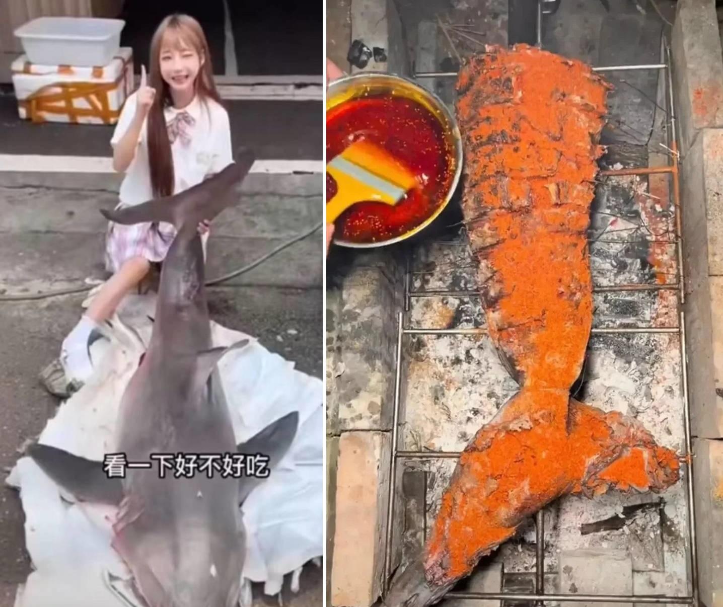 網紅「提子」烹調並大吃大白鯊。(互聯網)