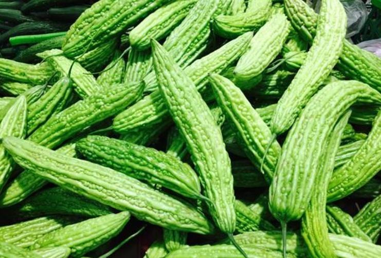 苦瓜