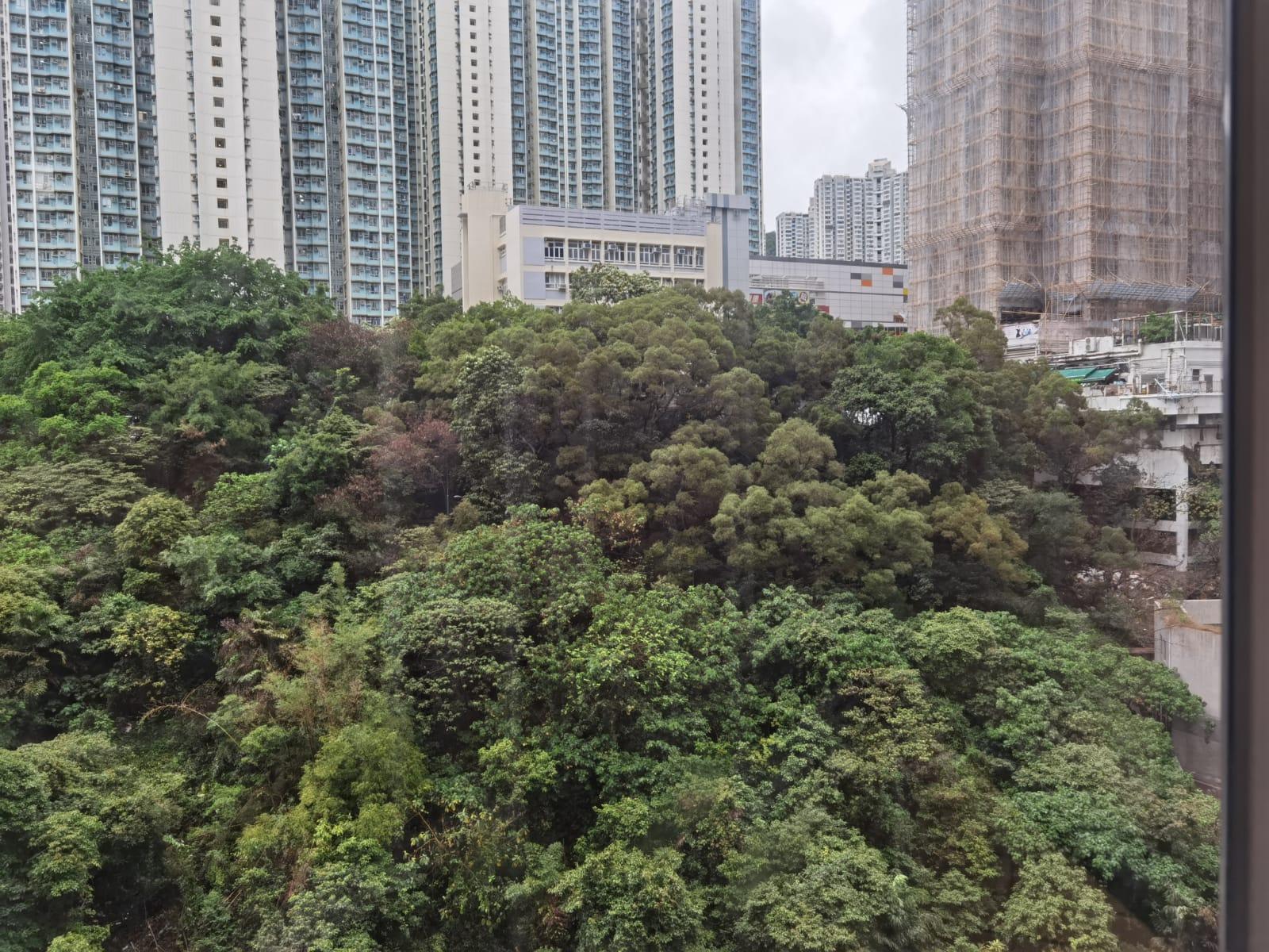 單位向東,享山景