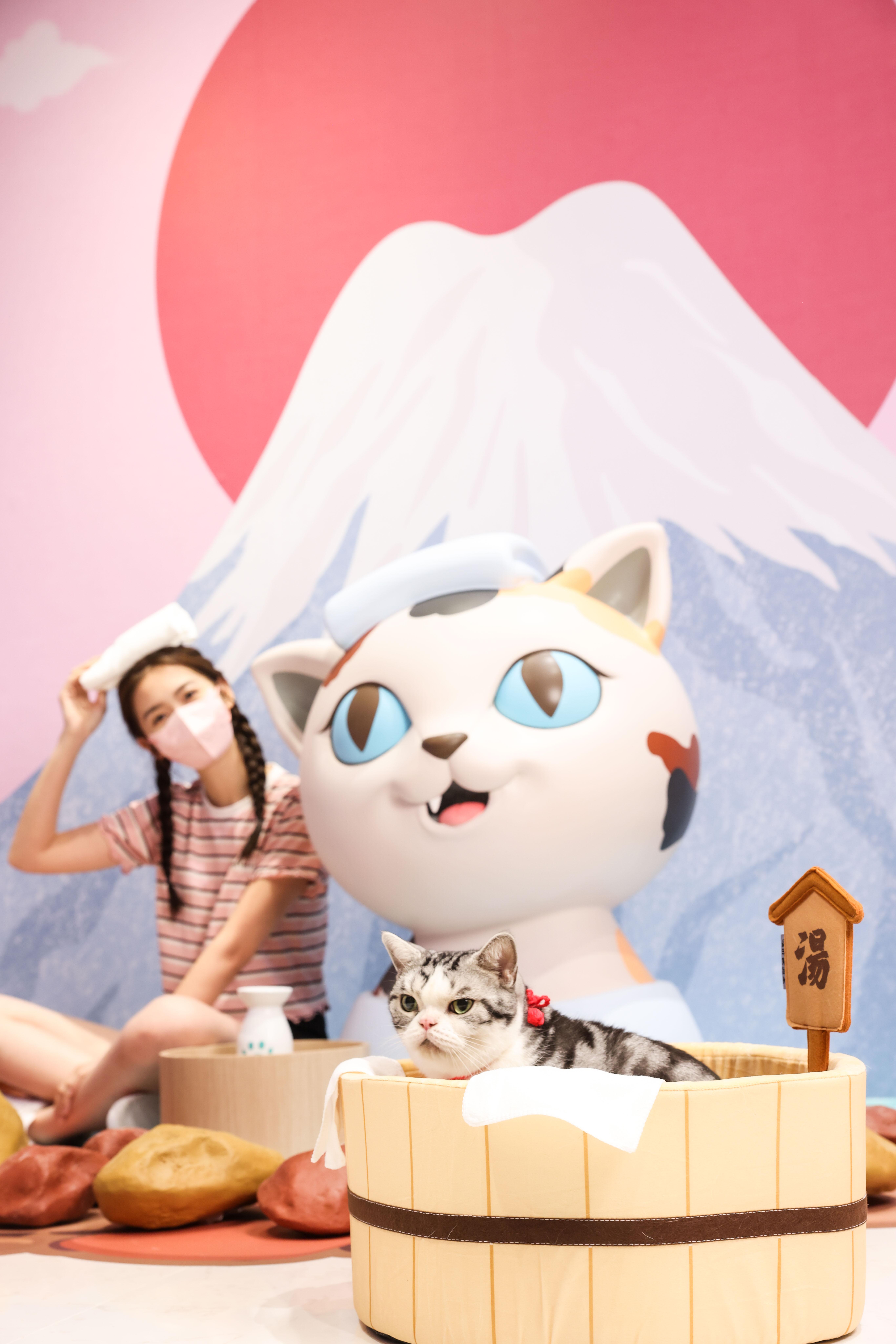 富士山下貓溫泉