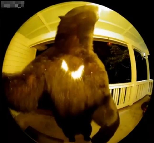 黑熊伸手去按門鐘。(YouTube)