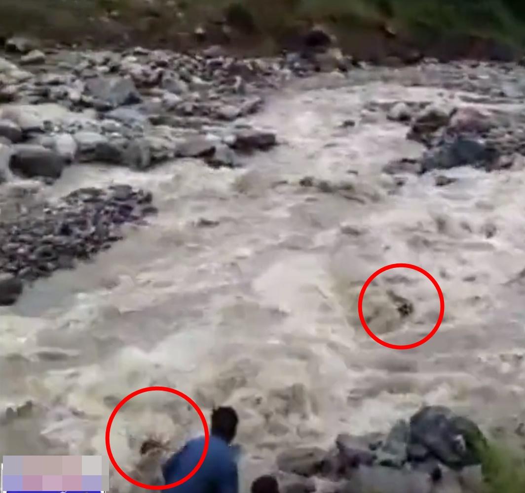 河水兇猛,令二人脫手,女兒瞬即被洪水捲走。(Twitter)