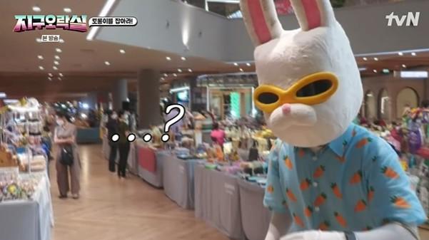 旅行當中需要抓住逃到地球的月球兔子。