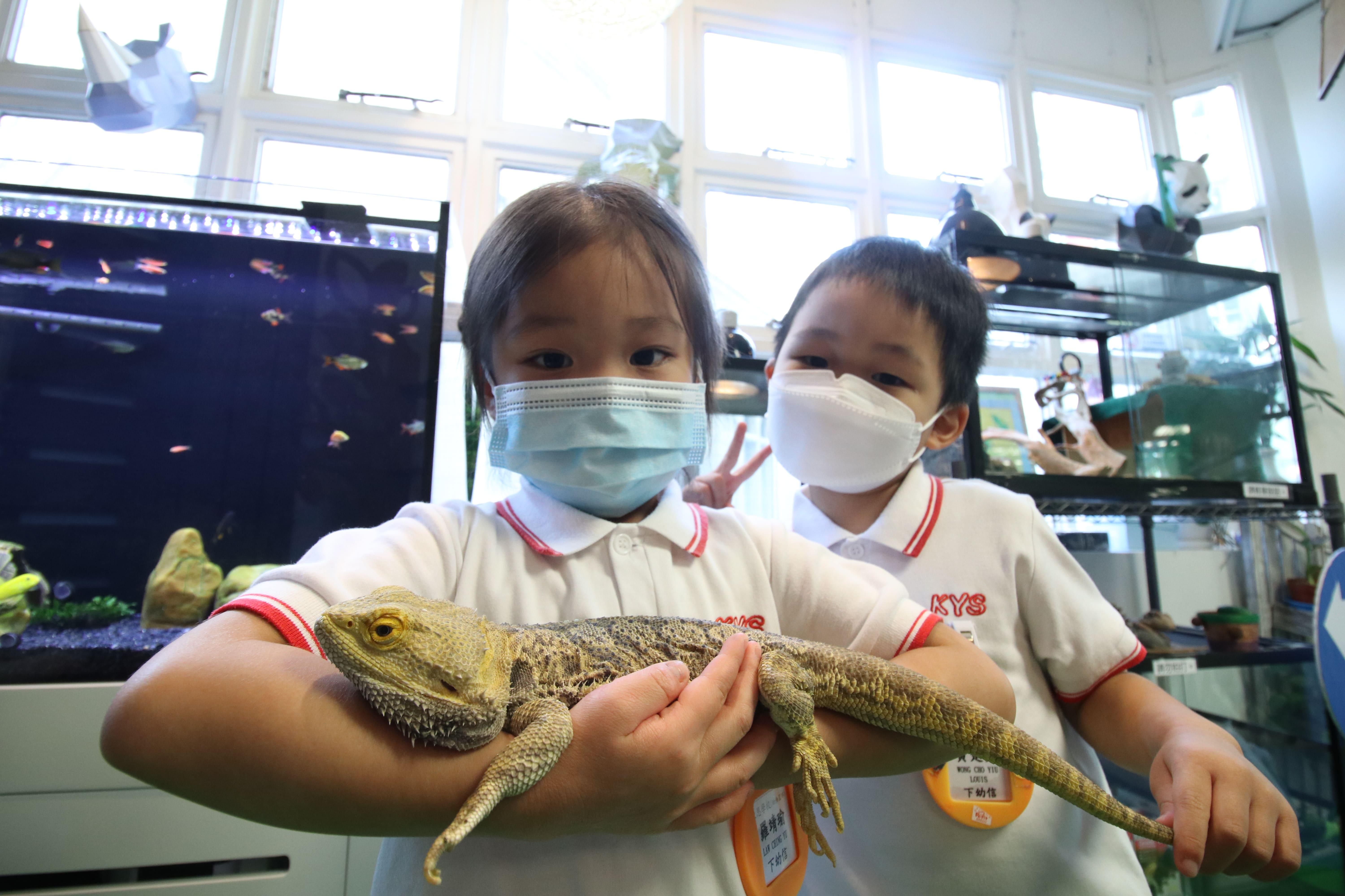學校還有生態園,飼養了鬆獅蜥、綠龜及魚類。