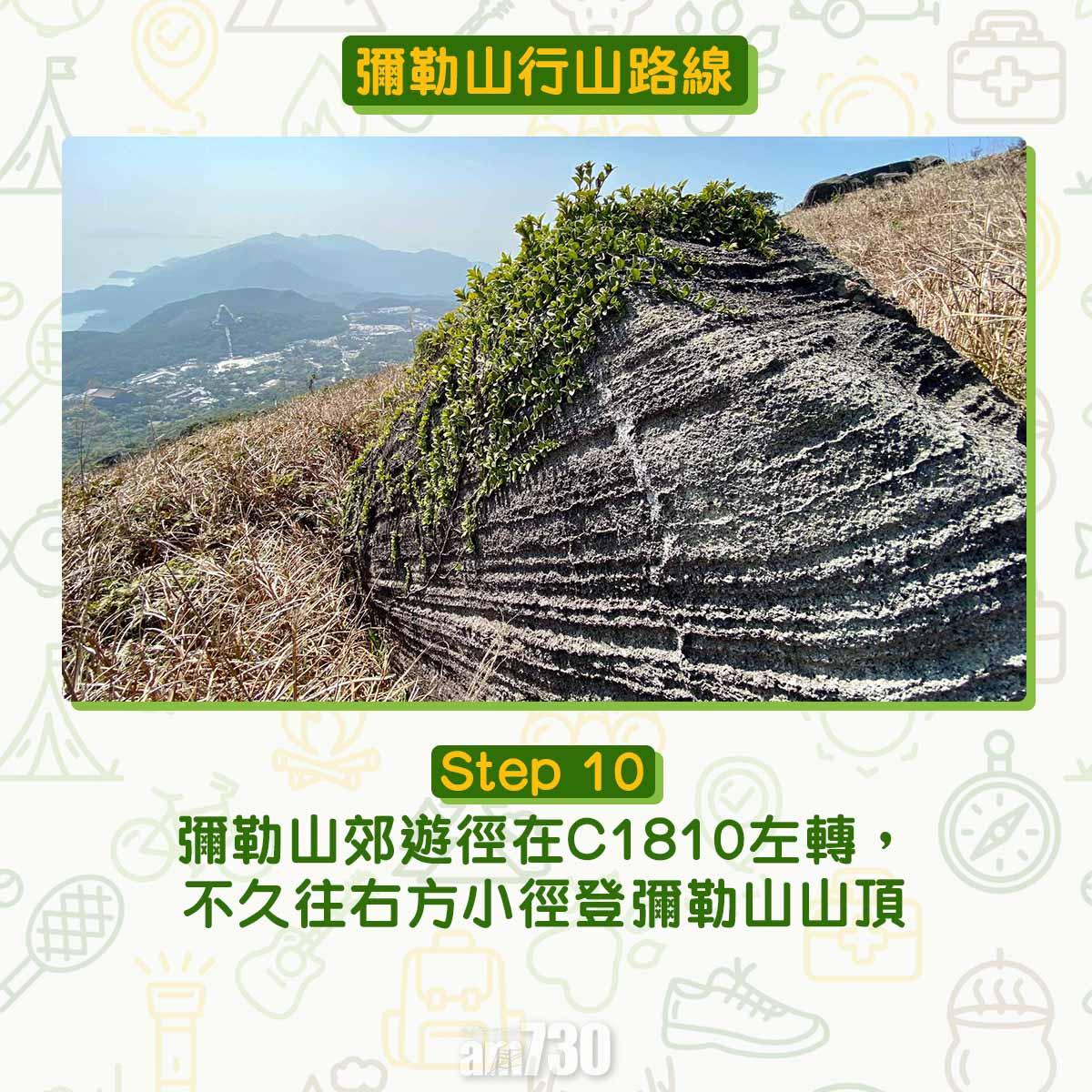 彌勒山芒草行山路線