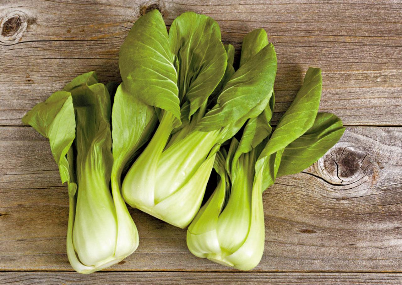 茹素令女性髖骨更易骨折?