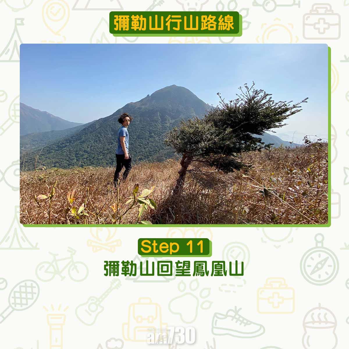 彌勒山芒草行山路線