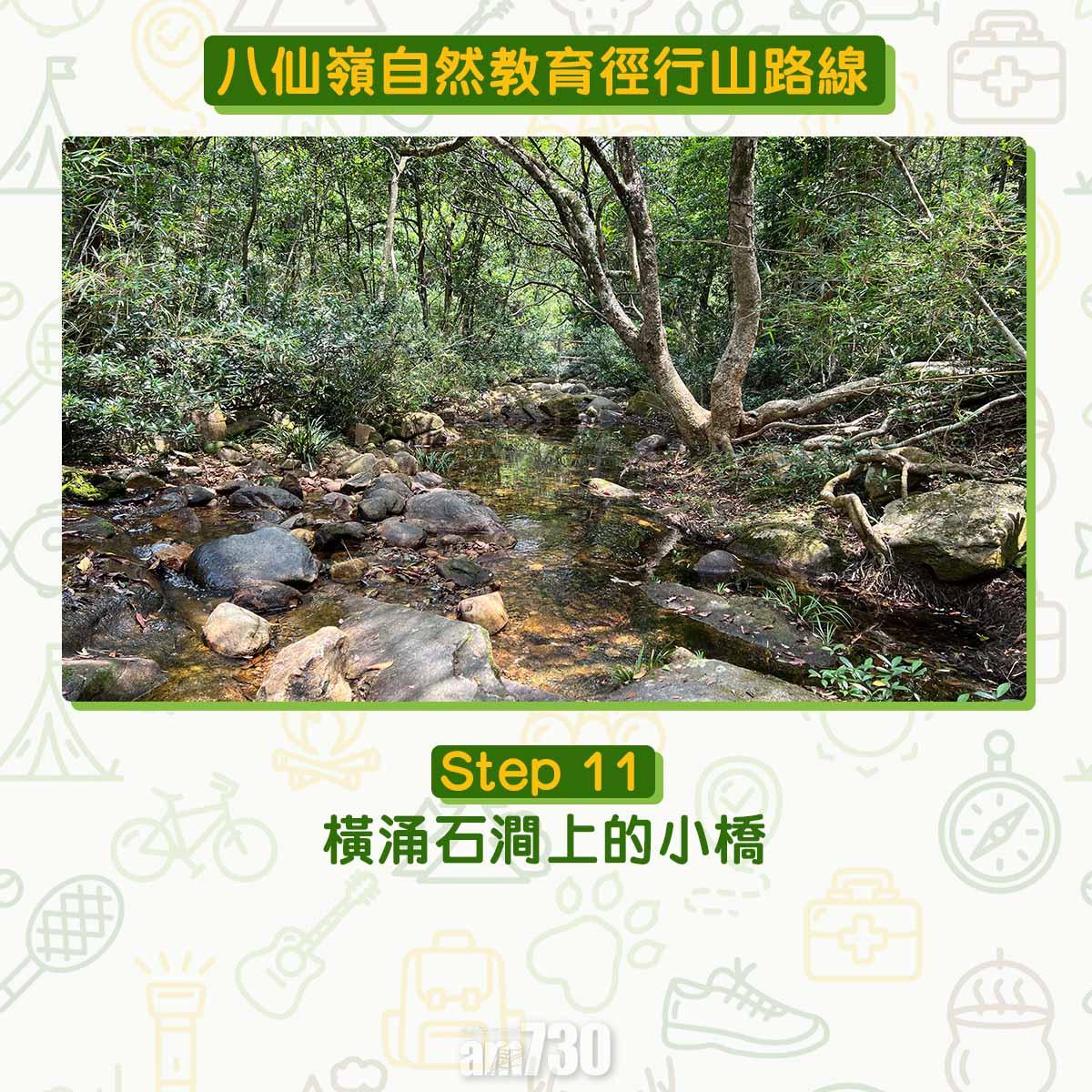 八仙嶺自然教育徑行山路線
