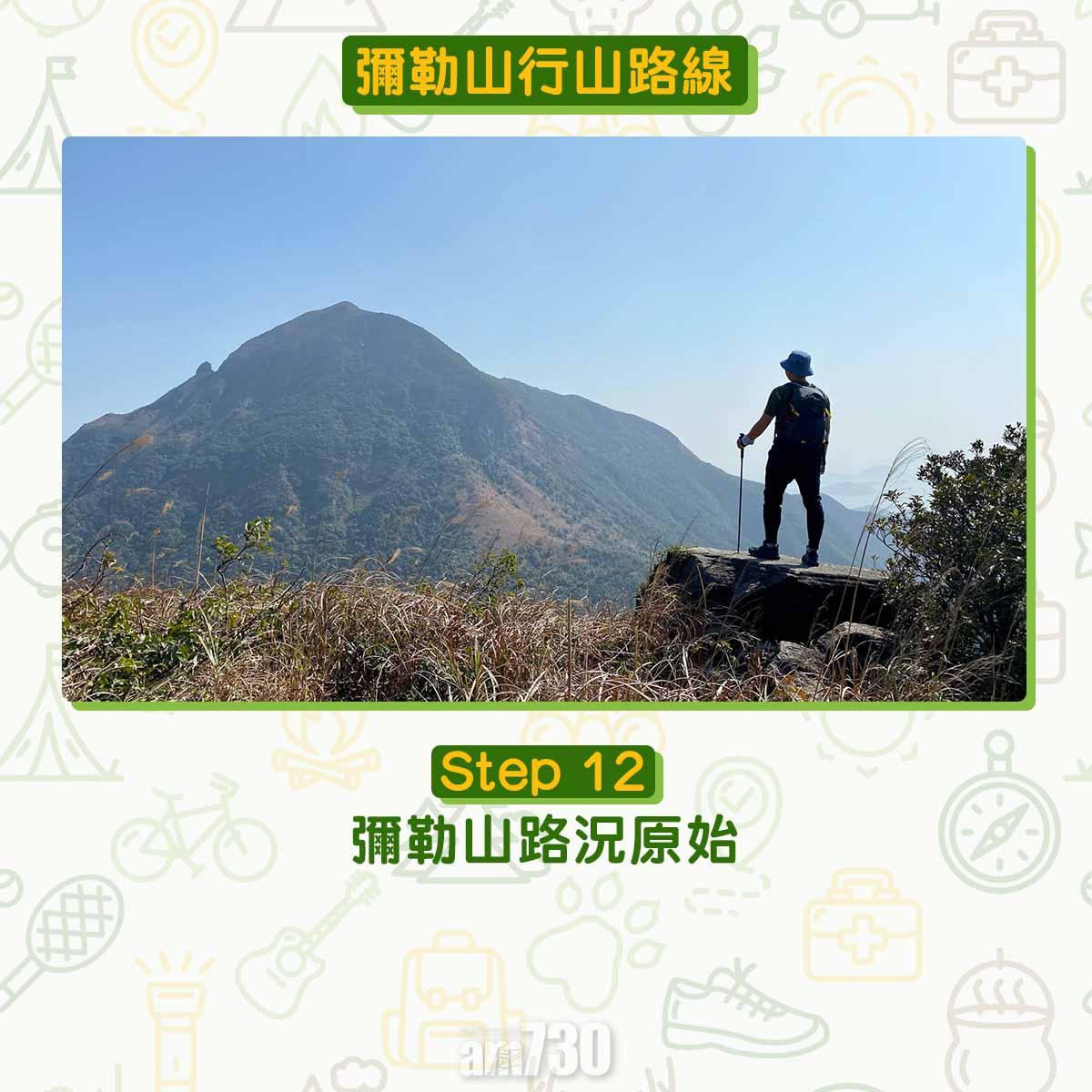 彌勒山芒草行山路線