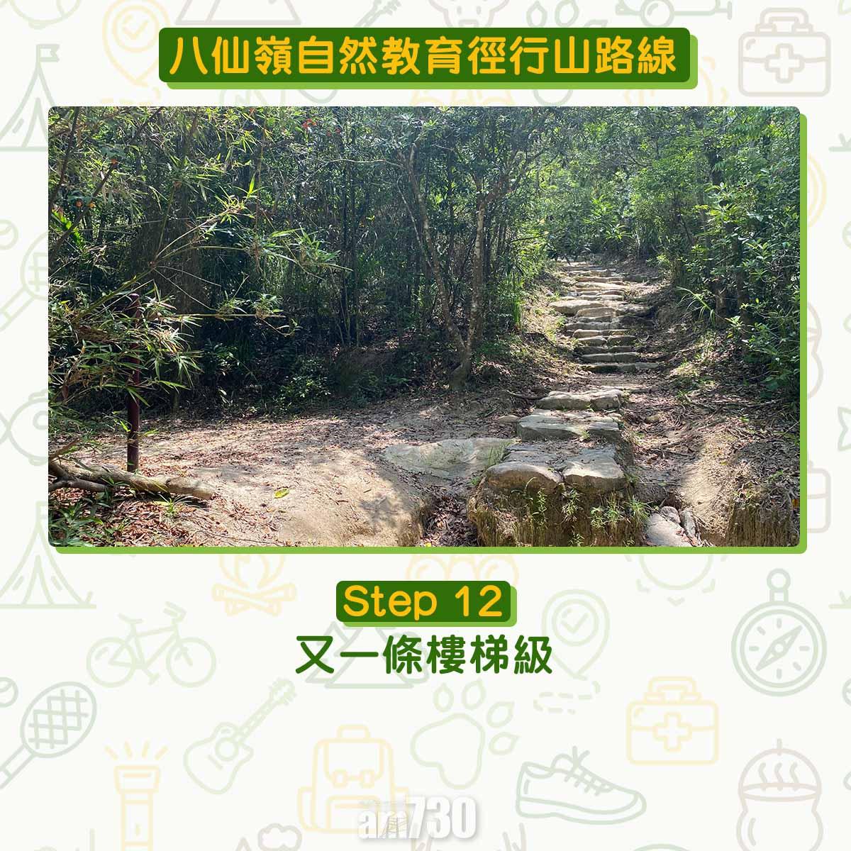 八仙嶺自然教育徑行山路線