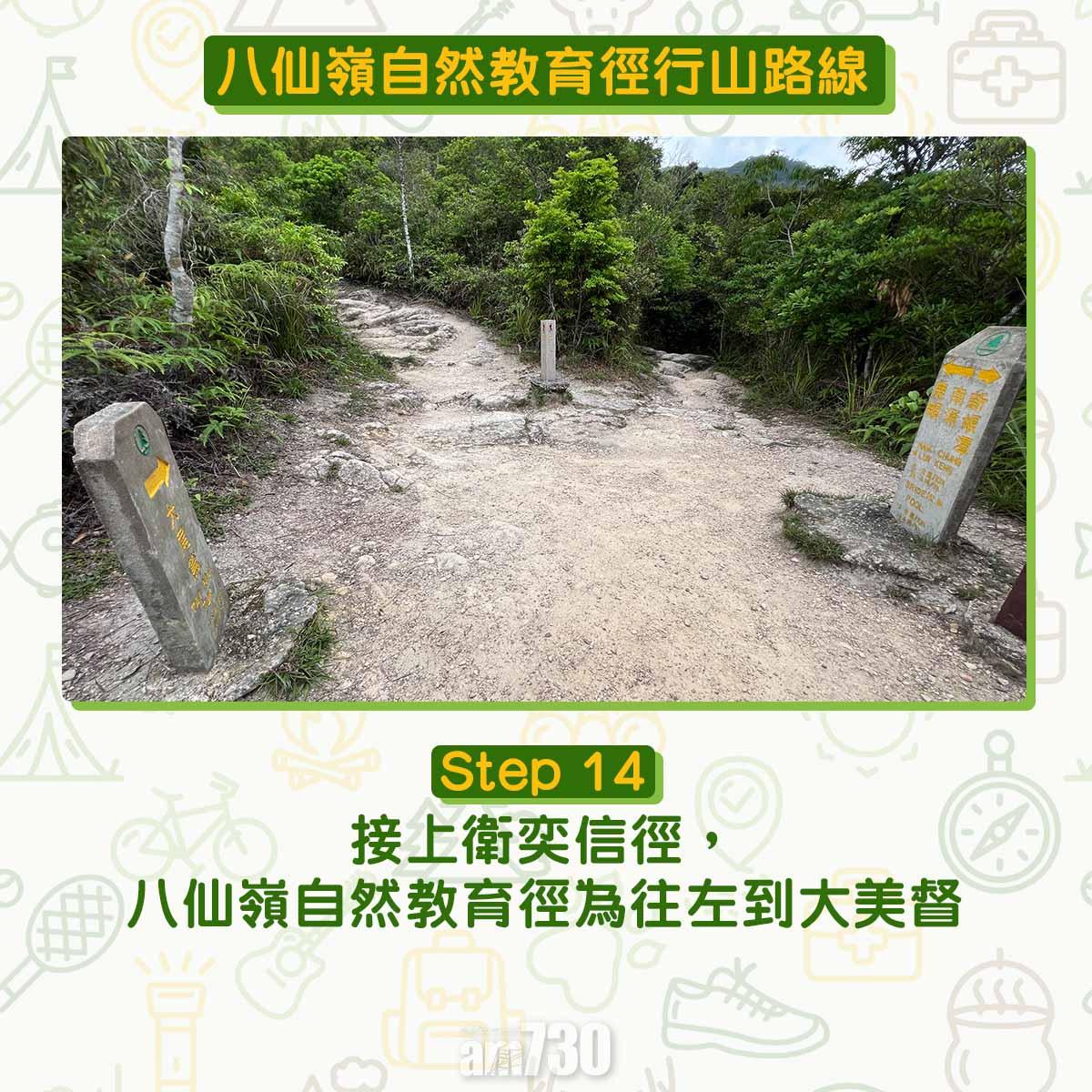 八仙嶺自然教育徑行山路線